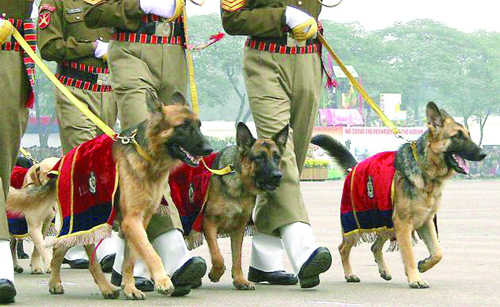 itbp-dogs-security-obama