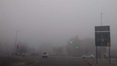 fog-in-chandigarh