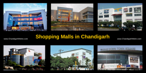 Shopping-Malls-in-Chandigarh