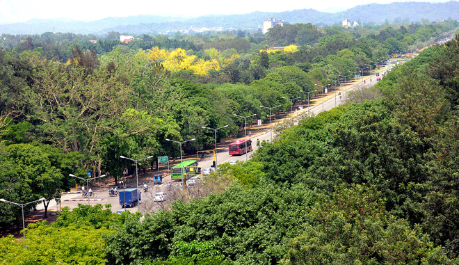greenest-city-chandigarh