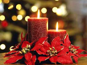 diwali-candles__1477571217_112-196-84-90