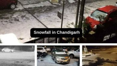 Snowfall-in-Chandigarh