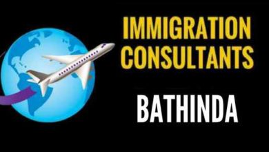 immigration-bathinda