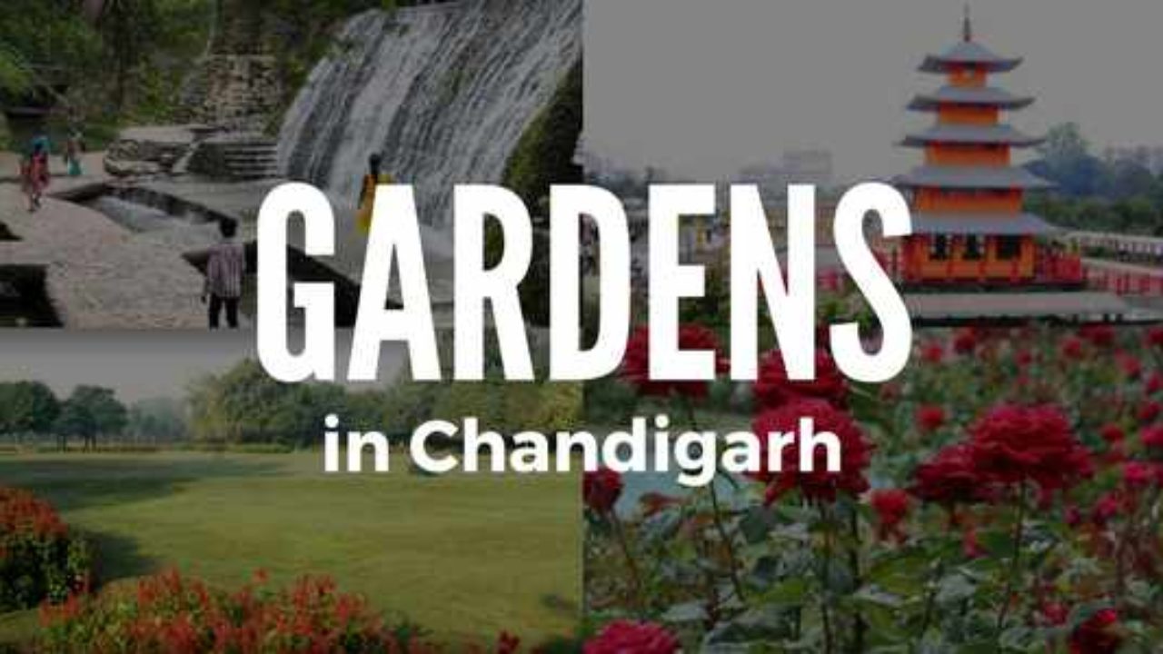 5 Famous Gardens In Chandigarh With Location Timings Details