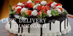 cake-delivery-chandigarh