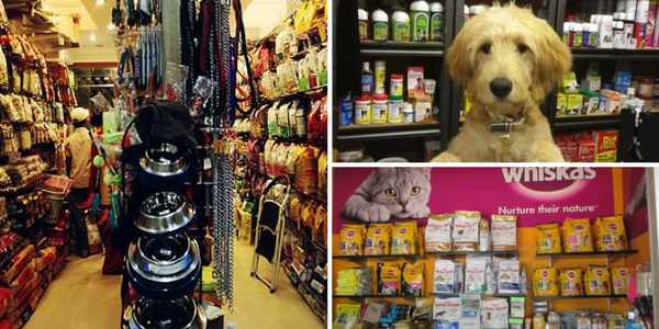 Best 7 Pet Shops in Chandigarh | Check out Address, Phone No. & More