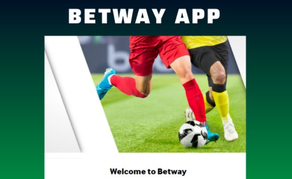 The Hidden Mystery Behind Ipl Betting Apps