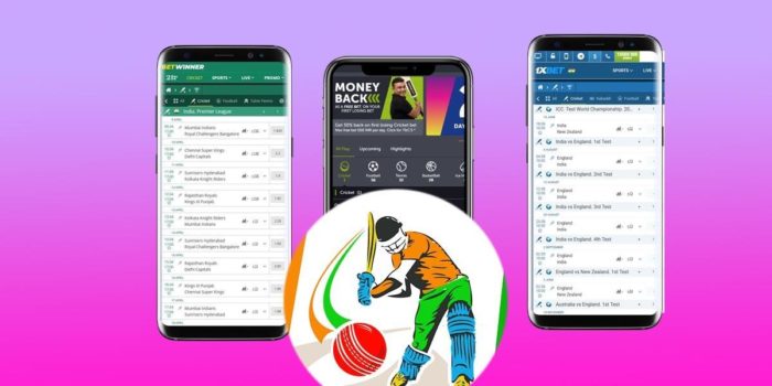 Fears of a Professional Cricket Betting Apps For Android In India