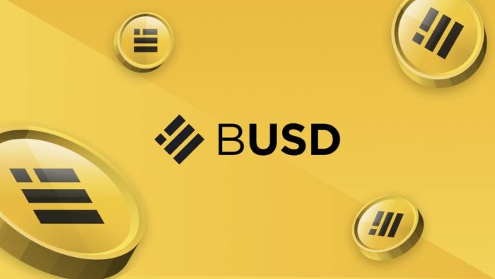 BUSD to Exchange