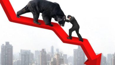 Some Tips for Surviving in a Bear Market